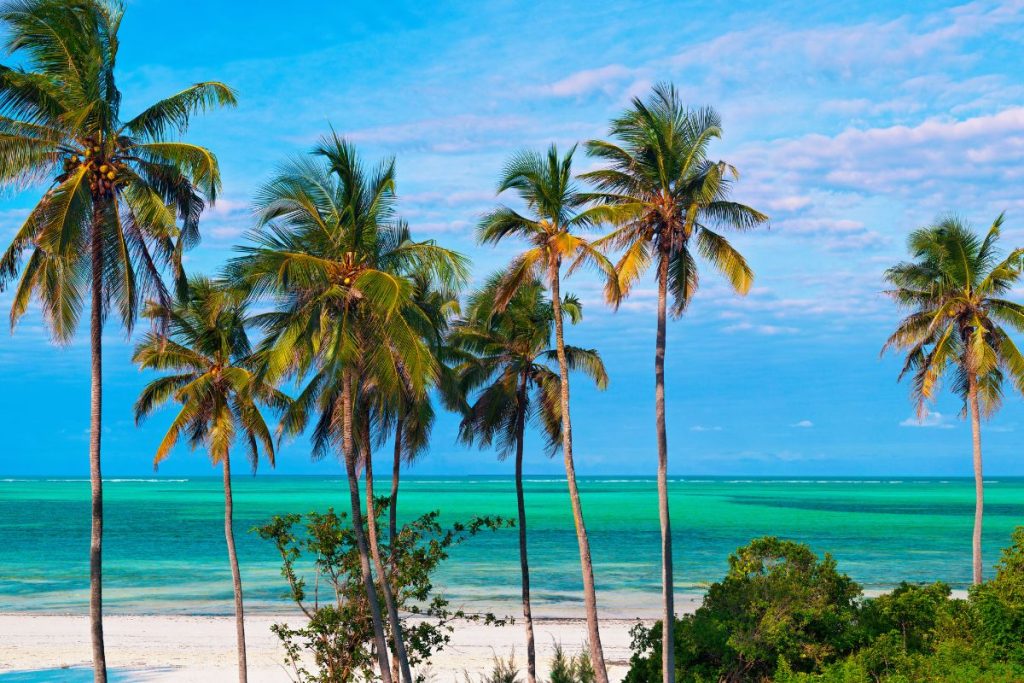 Zanzibar en décembre avis