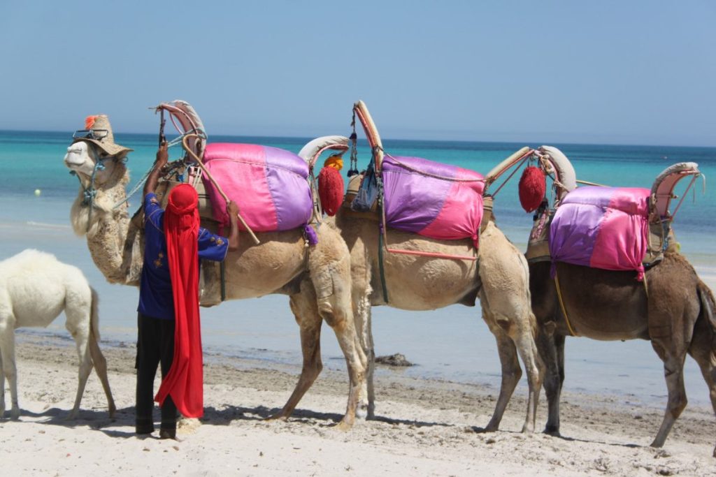 Djerba en octobre