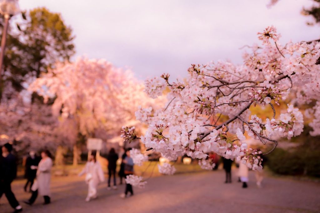 Japon en avril