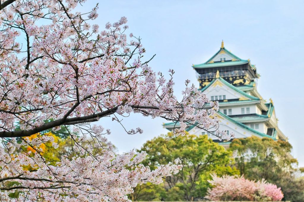 Japon en juillet