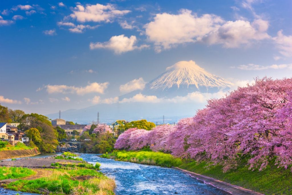 Japon en mai