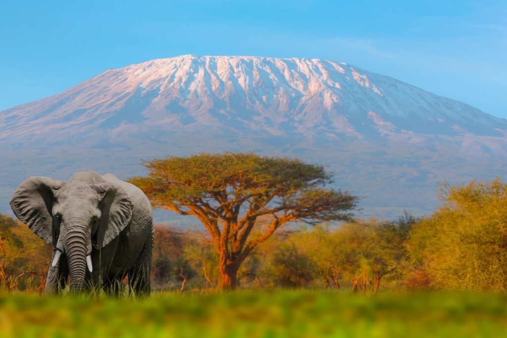 tanzanie pays dangereux